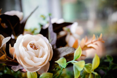 Close-up of rose bouquet