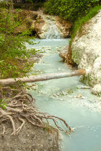 High angle view of river in forest