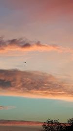 Bird flying over sea during sunset