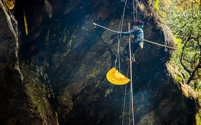 Low angle view of man climbing on rock in forest