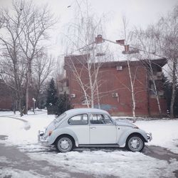 Cars parked on snow covered landscape