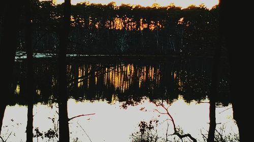 Reflection of trees in water at sunset