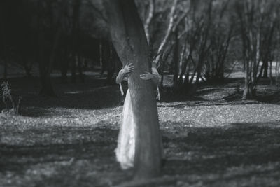 Close-up of bare tree in park