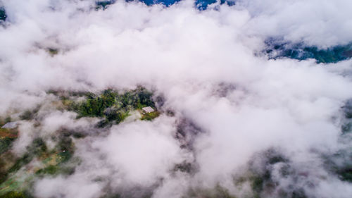 Low angle view of clouds covering plants against sky