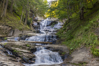 Waterfall in forest