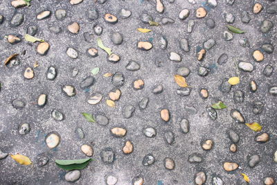 High angle view of raindrops on pebbles