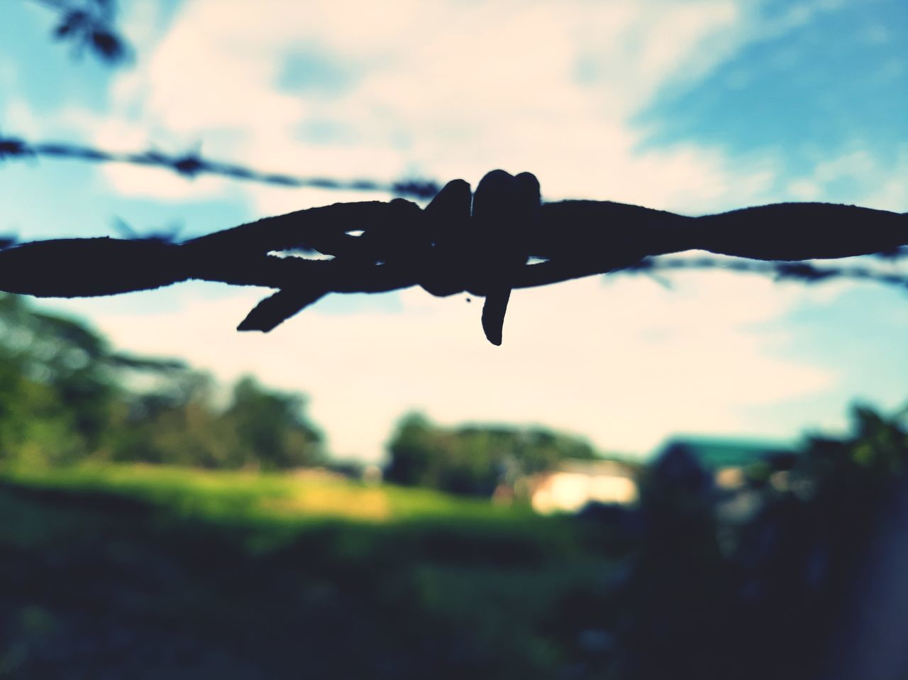 CLOSE-UP OF BARBED WIRE FENCE ON FIELD AGAINST SKY