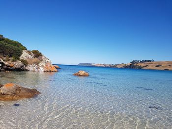 Scenic view of sea against clear blue sky