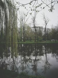 Reflection of trees in lake against sky