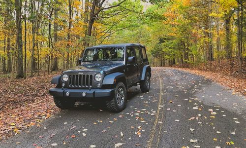 Car parked in forest during autumn
