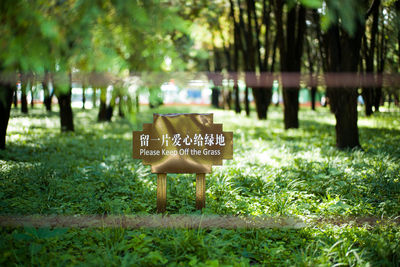 Gazebo on field in park