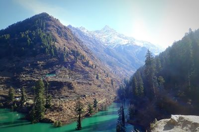 Panoramic shot of trees and mountains against sky