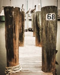 Wooden posts on pier