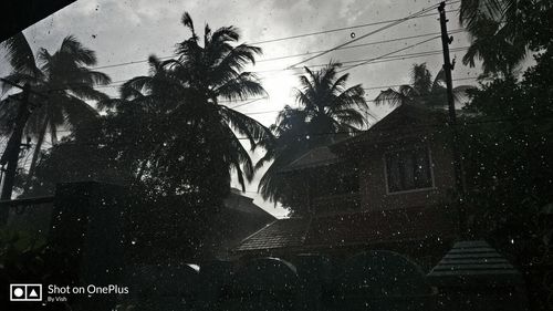 Low angle view of palm trees and building against sky