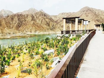 Plants growing by swimming pool against lake and mountains