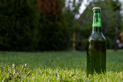 Close-up of water bottle on grass