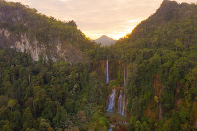 Scenic view of forest against sky during sunset