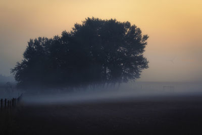 Trees on field against clear sky during sunset