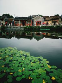 Scenic view of lake by building against sky