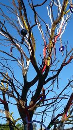 Low angle view of tree against clear sky