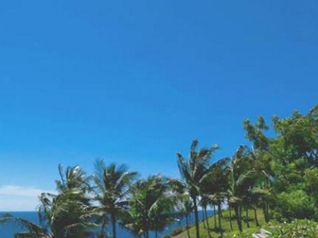 palm tree, blue, tree, clear sky, low angle view, copy space, tranquility, growth, beauty in nature, tranquil scene, nature, scenics, sky, green color, outdoors, day, no people, idyllic, tropical climate, sunlight