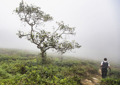 Woman hiking in the mist of the sri lankan highlands