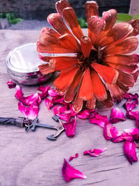 Close-up of pink flowers on table