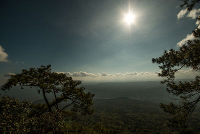 Scenic view of tree mountains against sky