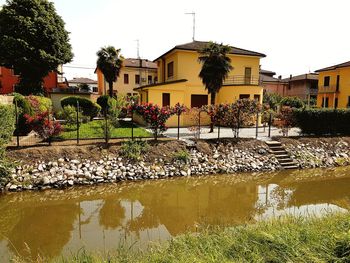 Plants by lake against buildings in city