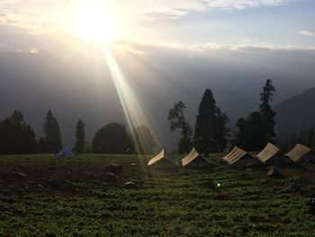 Scenic view of field against bright sun