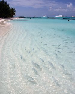 Scenic view of beach against sky