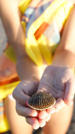 Cropped hand of woman holding seashell