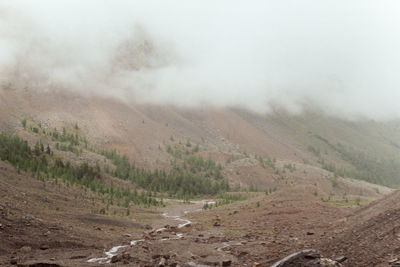 Scenic view of landscape against sky