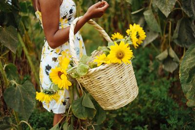 Midsection of woman carrying yellow flowers in basket on field