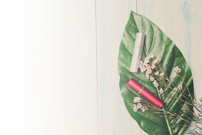 Close-up of rose plant against wall