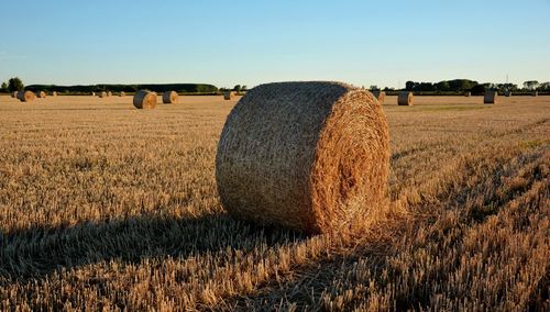 Hay bales on field against clear sky