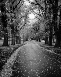 Footpath amidst trees in park during autumn