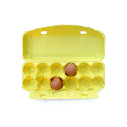 Directly above shot of eggs in yellow carton on white background