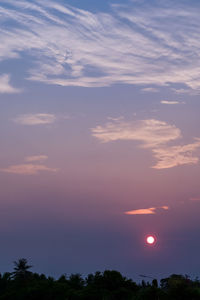 Low angle view of silhouette trees against sky during sunset