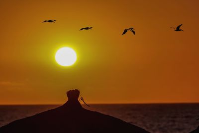 Silhouette birds flying over sea during sunset