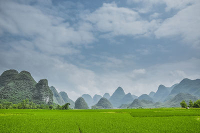 Scenic view of green landscape against sky