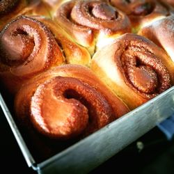 Close-up of fresh cinnamon buns in served tray at bakery