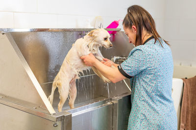 Young woman groomer giving a bath to a dog in a hair salon