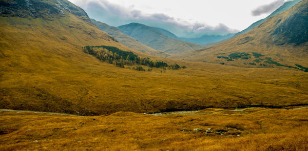 Landscape with mountain range in background