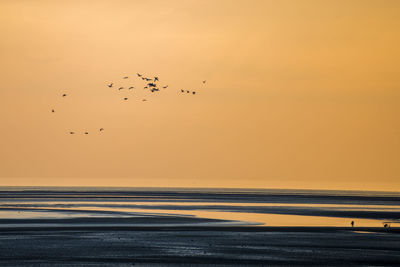 Birds flying over sea against sky during sunset