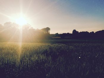 Scenic view of grassy field against sky at sunset