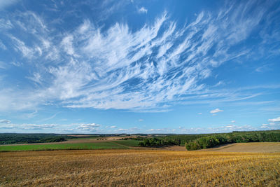 Scenic view of agricultural field against sky