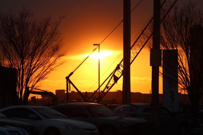 Sun shining through trees during sunset