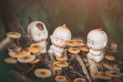 High angle view of figurines by mushrooms on tree trunk