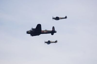 Low angle view of airplane flying in sky